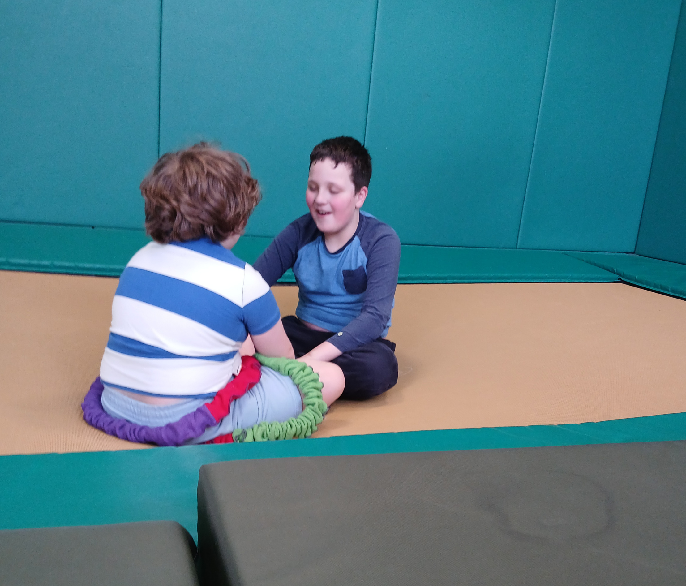 A photo shows children taking part in rebound therapy at SELFA children's charity in North Yorkshire.